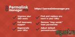 1553671294_permalinkmanager-pro.jpg