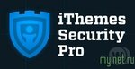 1544371509_ithemes-security-pro.jpg